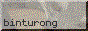 Small site button: "binturong" in dark text on a light/dithered-pixel photo background.
